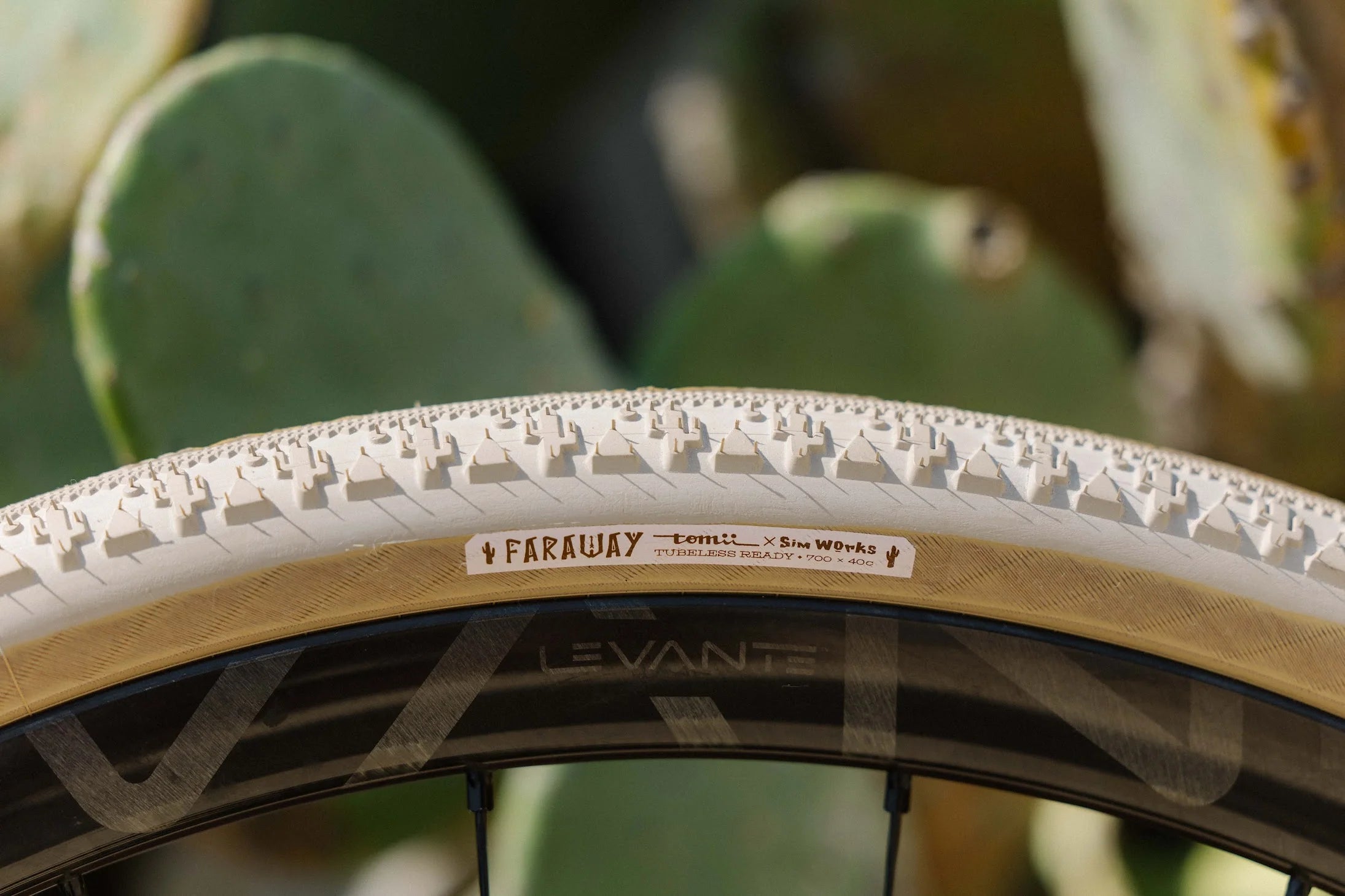 SimWorks x Tomii Cycles Faraway Tire
