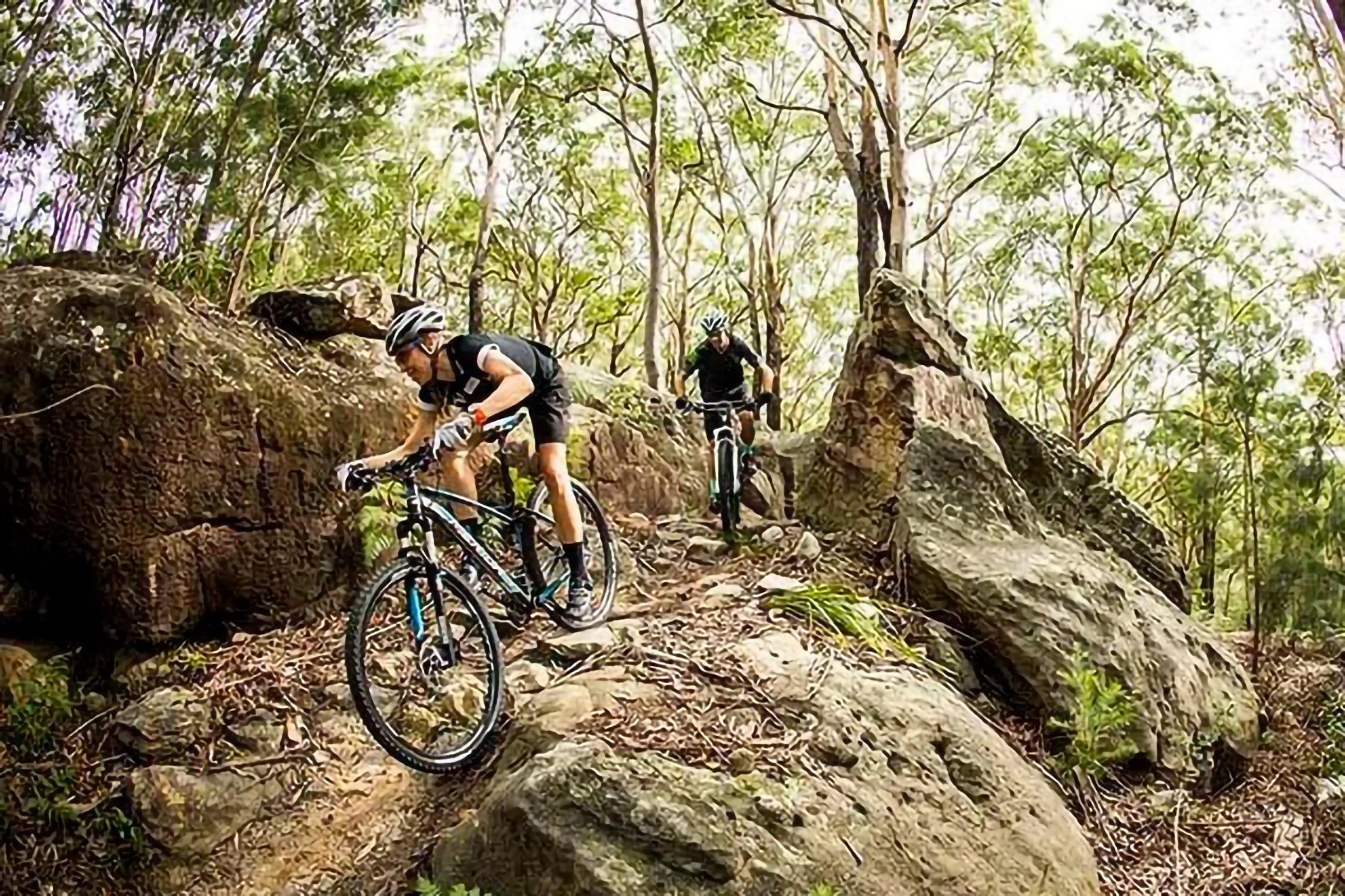 5 must-ride Bicycle Trails in Sydney