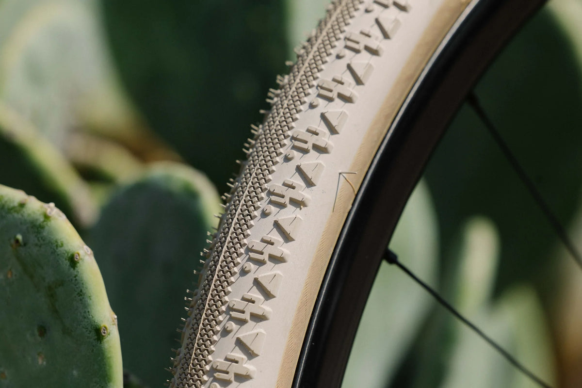 SimWorks x Tomii Cycles Faraway Tire